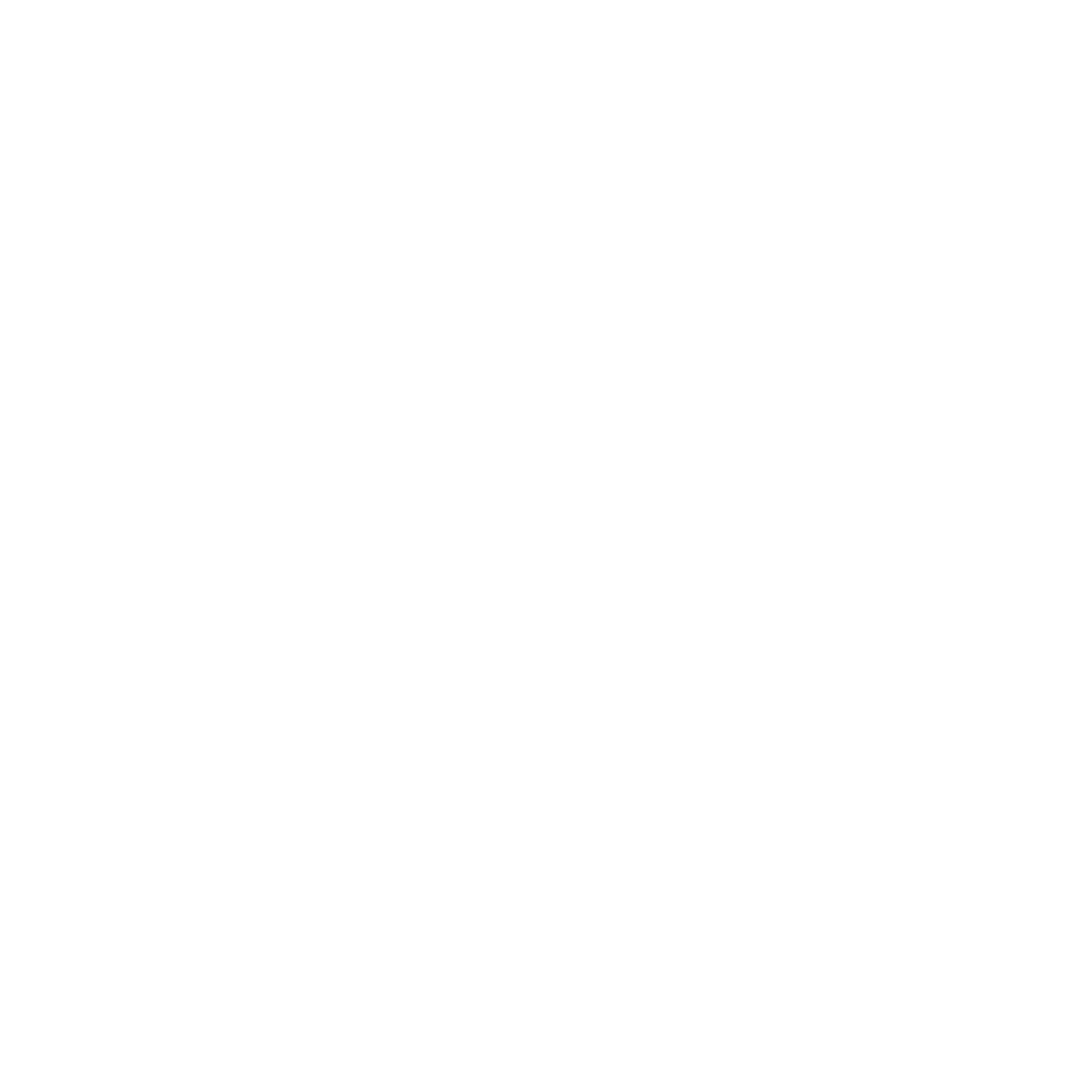 NeuronAct Logo